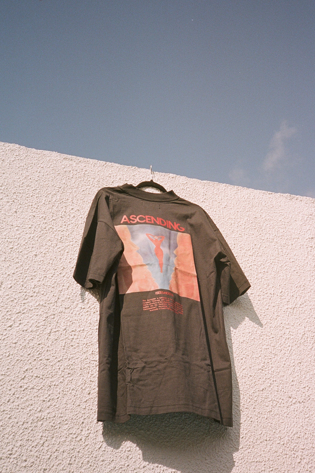 I See Ghosts T-Shirt Ascending Oversized