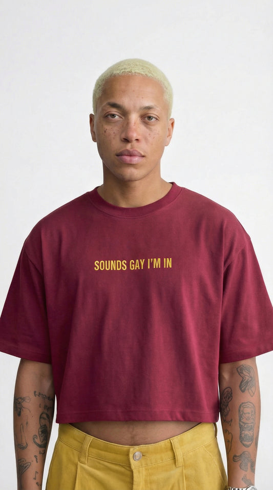 THE BOXY TEE "SOUNDS GAY I'M IN"